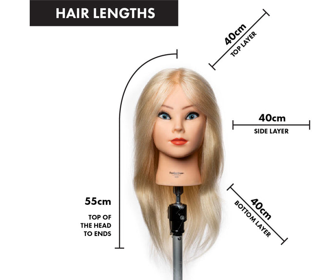 MANNEQUIN HEAD ALEX