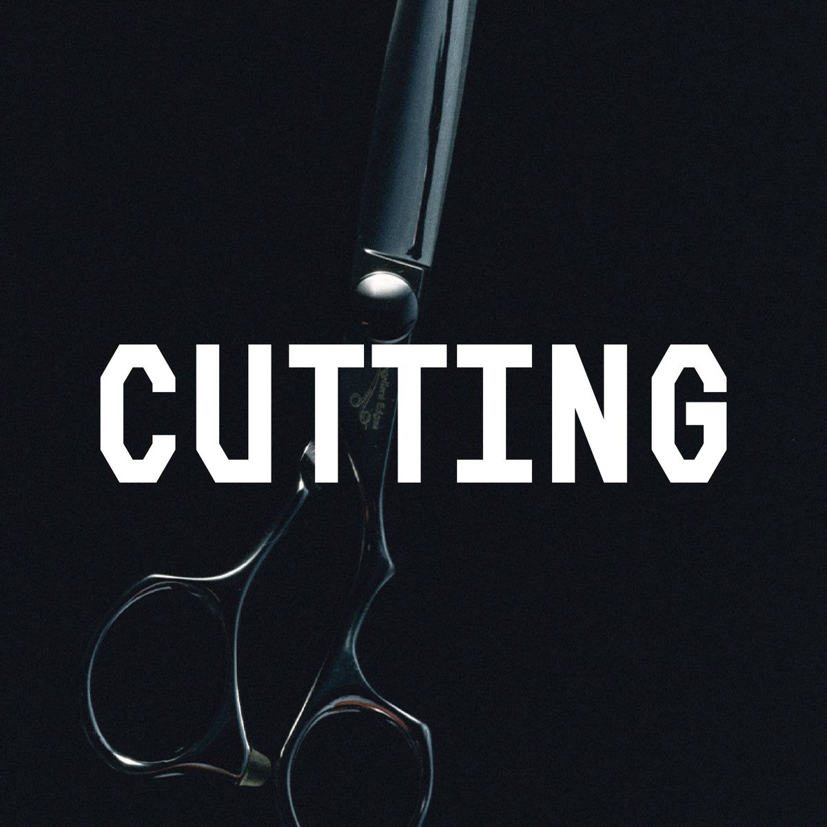 Cutting Scissors – Excellent Edges