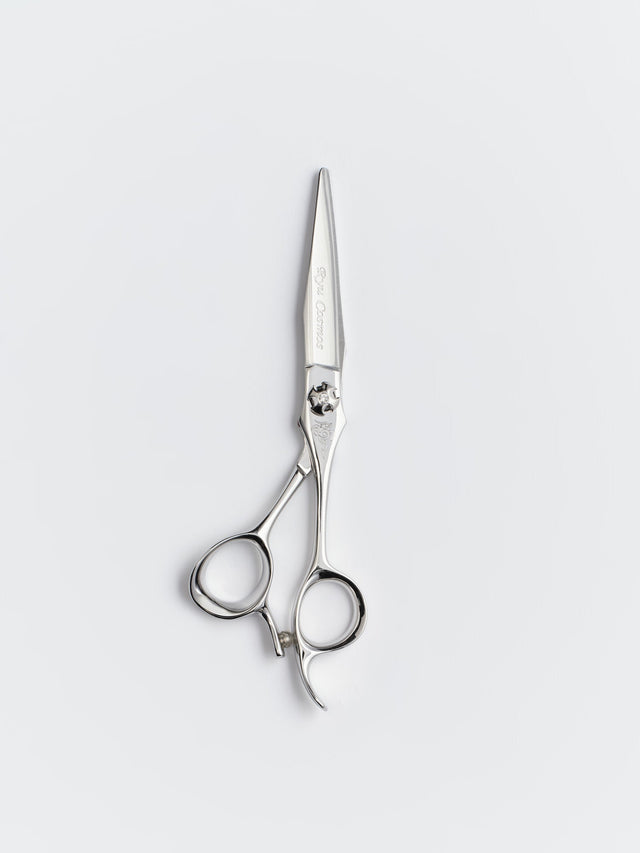 HIKARI COSMOS DRAGON