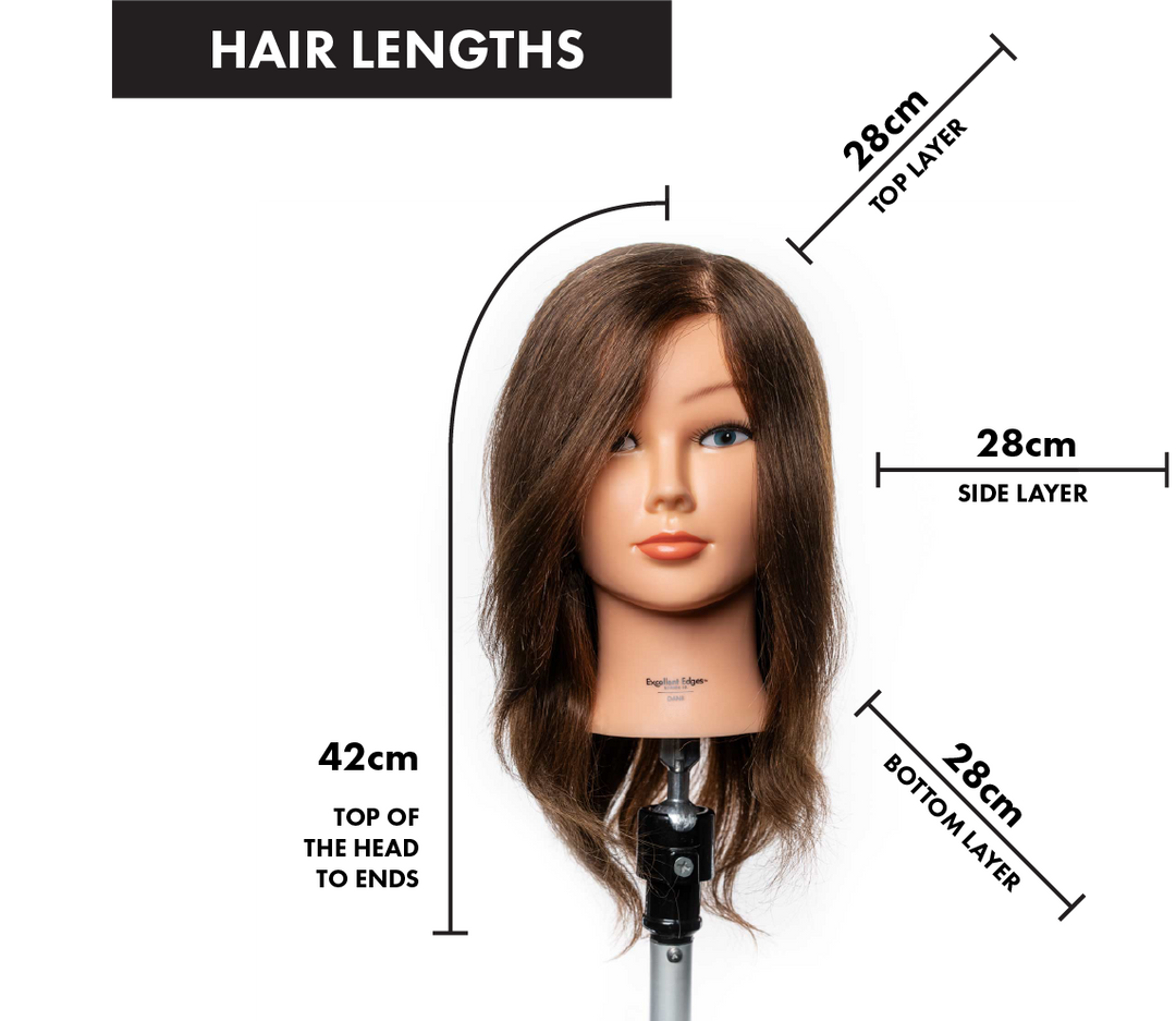 Accessories Mannequin Heads Excellent Edges